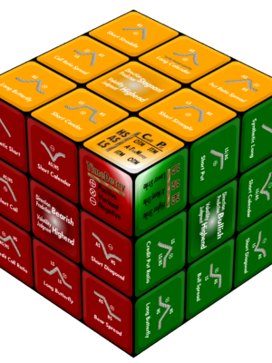 Option Strategy Cube