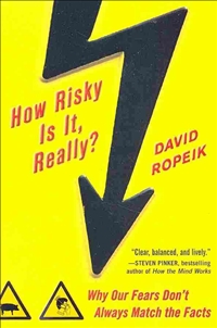 How Risky Is It Really?